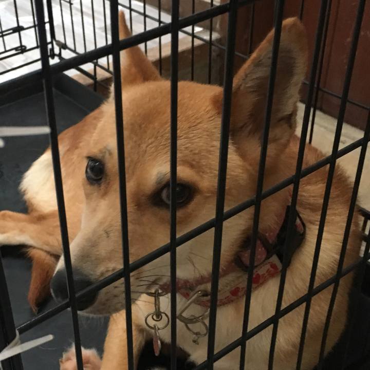 6a9c7988 7a45 4b50 bac0 2ca61741dd57