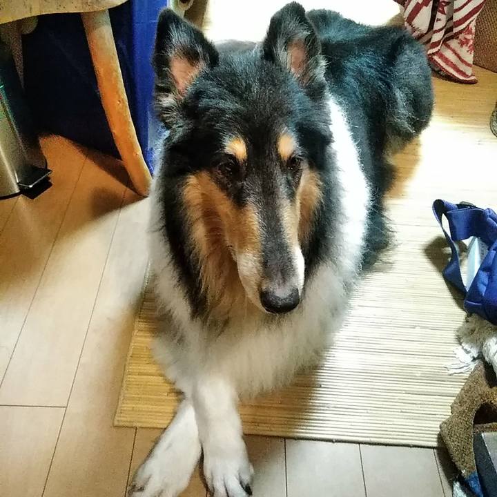 6a9d623f a937 4b70 8ef5 19549c552cd1