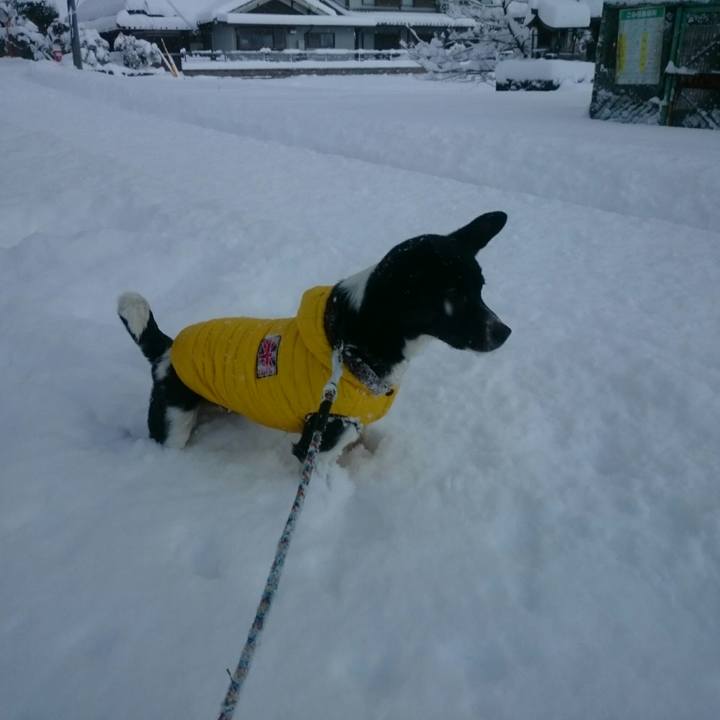 6a9d8198 65e6 438f ade1 59319cda02c4