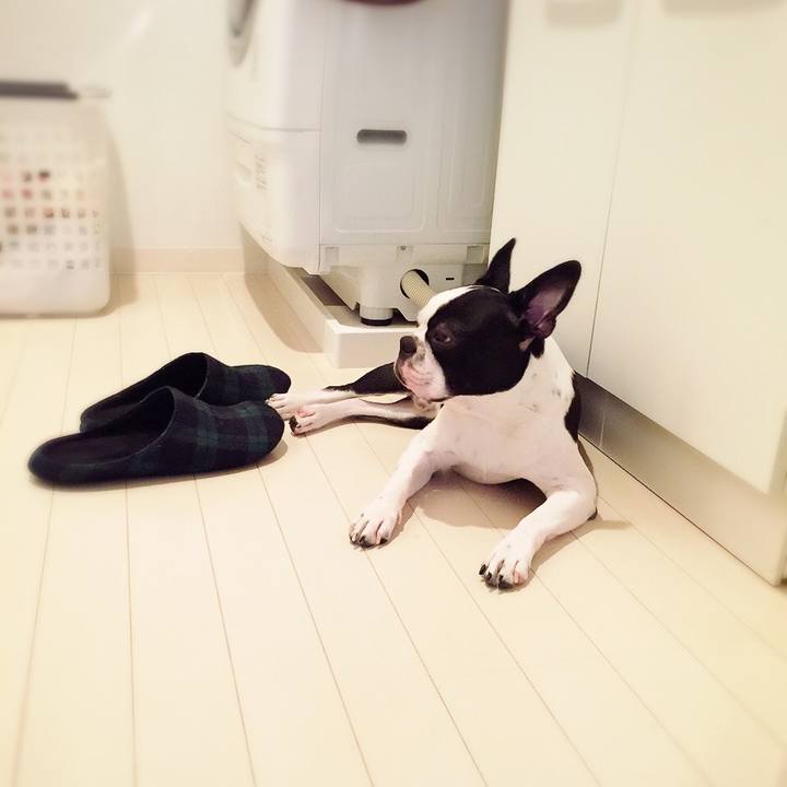 6a9eb6fb c6d7 45dc bfdc be9378bc36cf