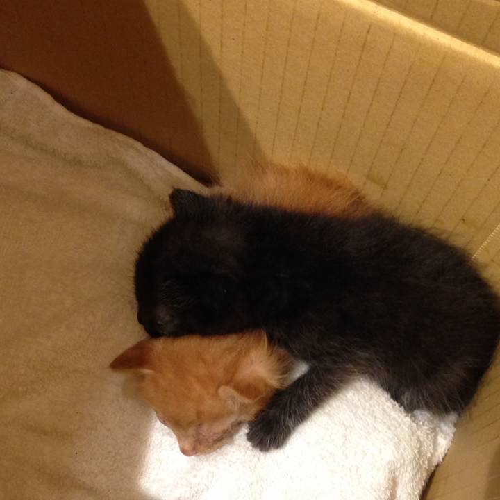 6a9ed088 df05 4c8f 8df3 376c787008f7