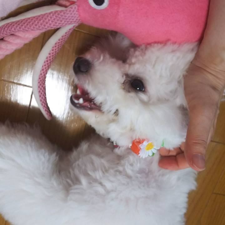 6a9ef968 e875 469b a2b2 aaa59e9857e3