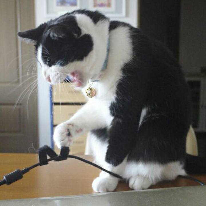 6a9f2110 73a1 4e53 9564 2513a78cd23e