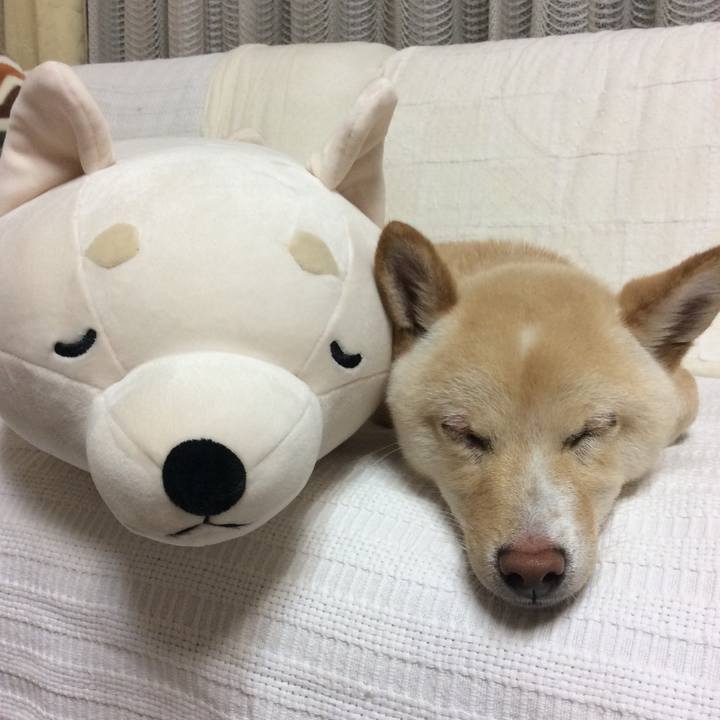 6a9f2cf9 b2d8 4be2 8e35 f3178e199121