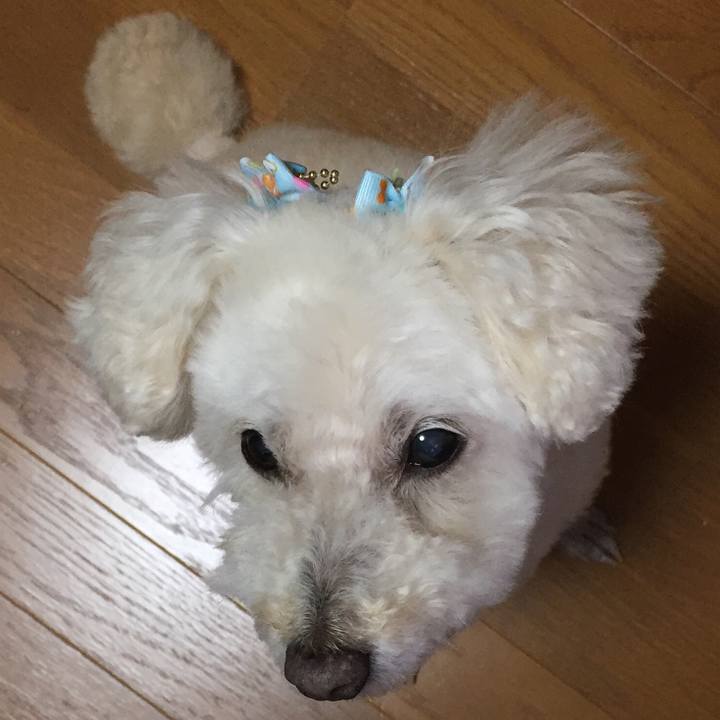 6a9fc4be 1b51 45ae 8f7a 4724e7d76205