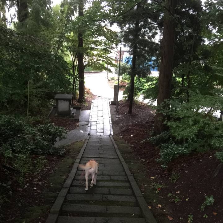 6aa0c218 a3a4 4085 80eb ad9007f5998d