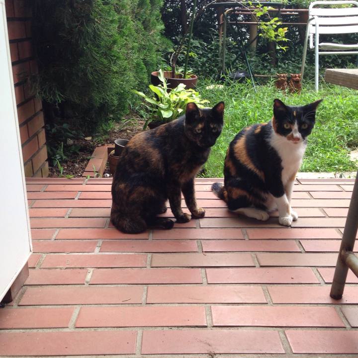 6aa0eaff 5033 446a 8920 f468e1ac5dfb