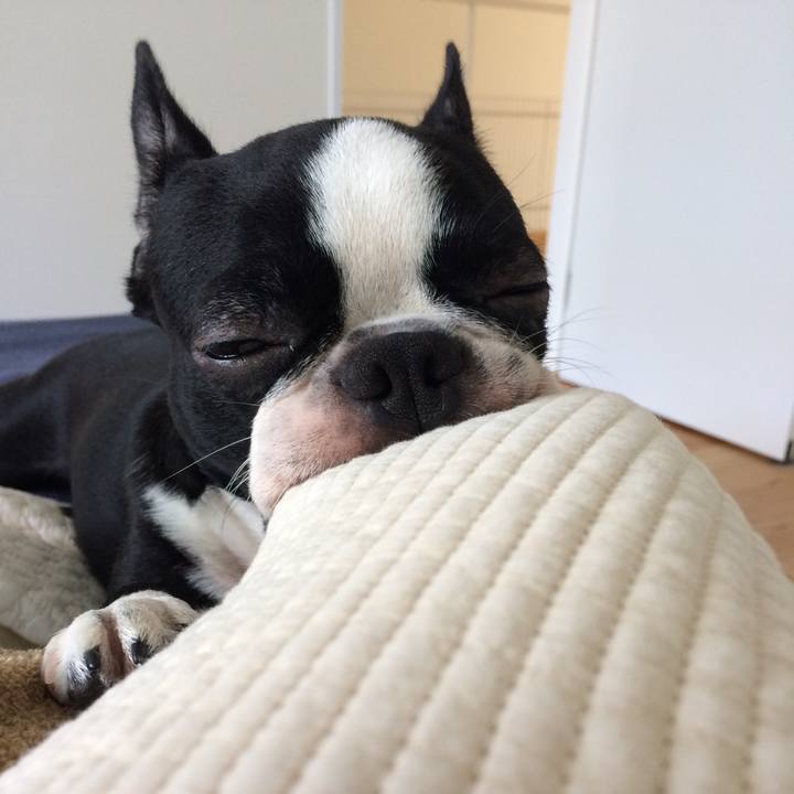 6aa126c0 cf37 43a8 8b3a 496e5abfb897