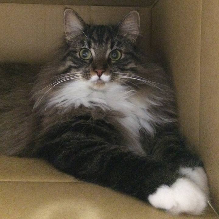 6aa16862 c176 4f19 801c 38d642a8db7a