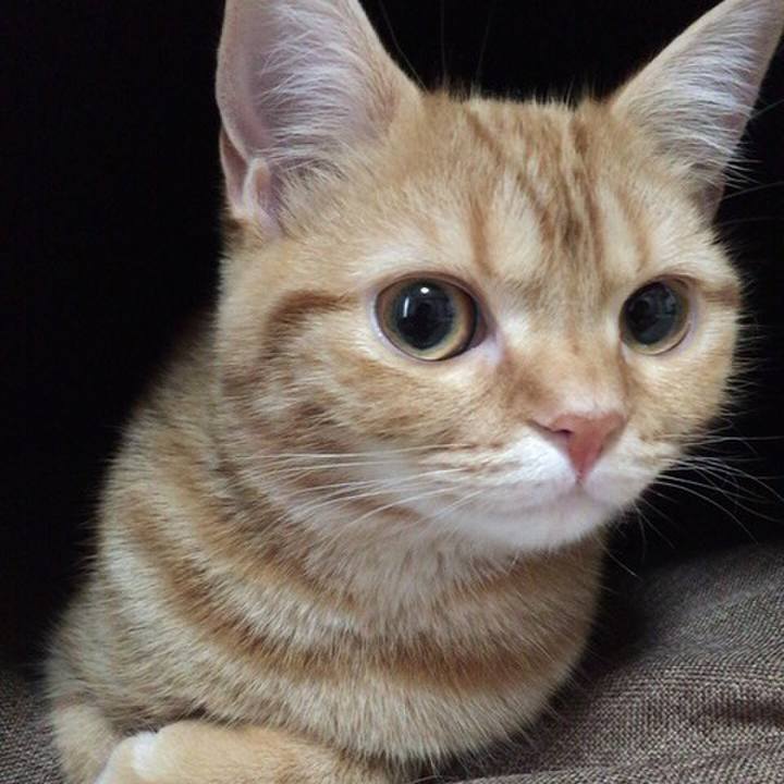 6aa1c82d 93ad 4c06 8779 76bfa3294818