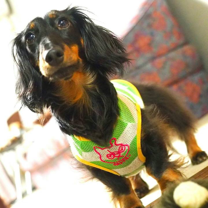 6aa1d7a3 47c1 4195 85f5 34df6e232f10