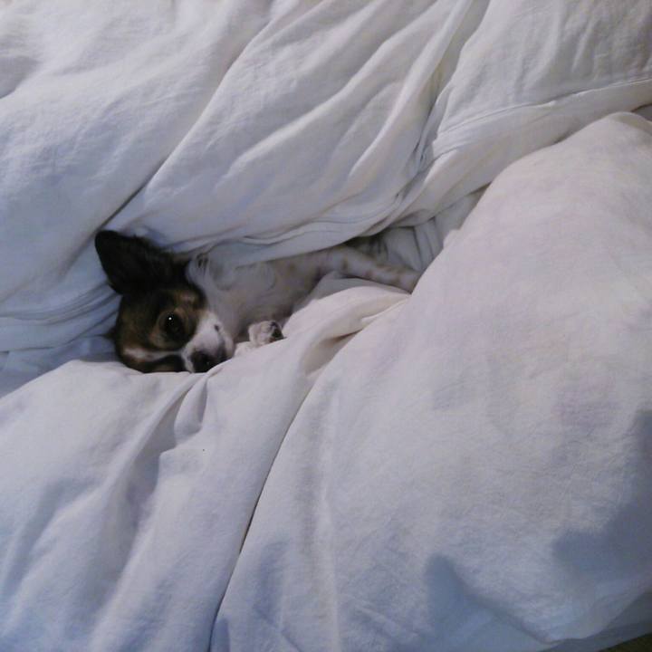 6aa330f0 4904 49ed 85a9 94e950f67845