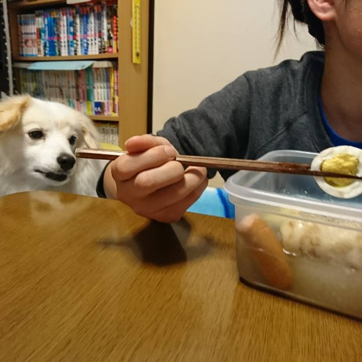 6aa366f4 74aa 4ab7 88ff b80ae874ce21