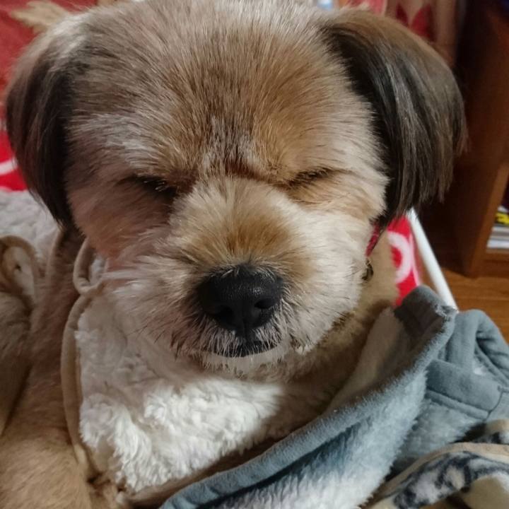 6aa37539 d2ef 484e 9e90 43d011408cc6