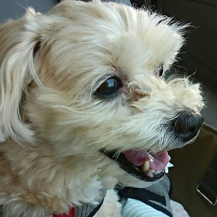 6aa3a045 16e5 4aab 85da 00ca98dca997