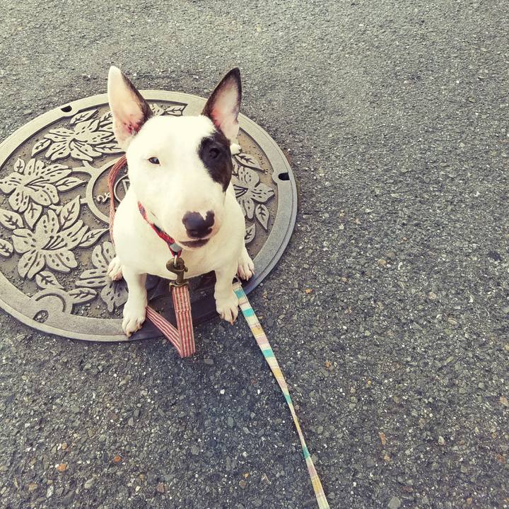 6aa3d536 90f5 4785 87eb 3d9aa950f276