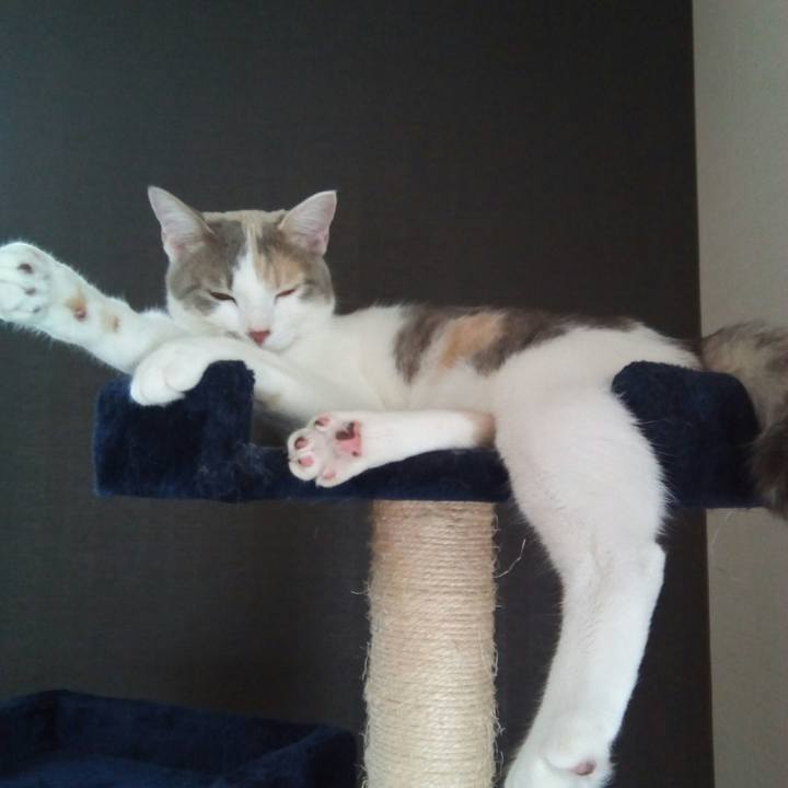 6aa4878f 3188 41eb 921c fa2783bf2dfa