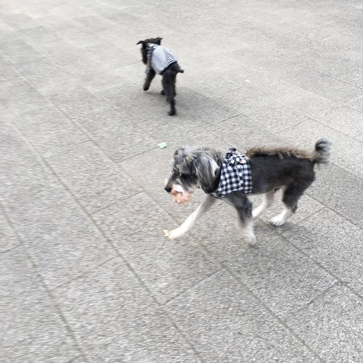 6aa52e0b ad16 4cf1 be8c 0f905dff3746