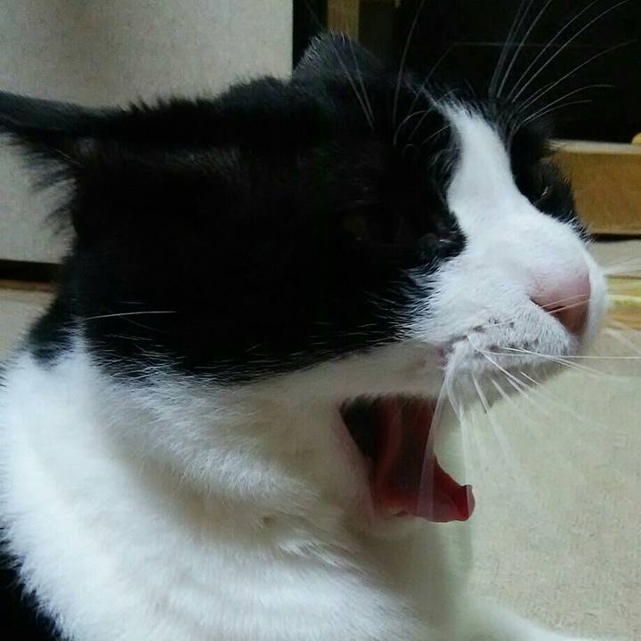 6aa52f85 b52a 4110 a10b 0ec04d4b5139