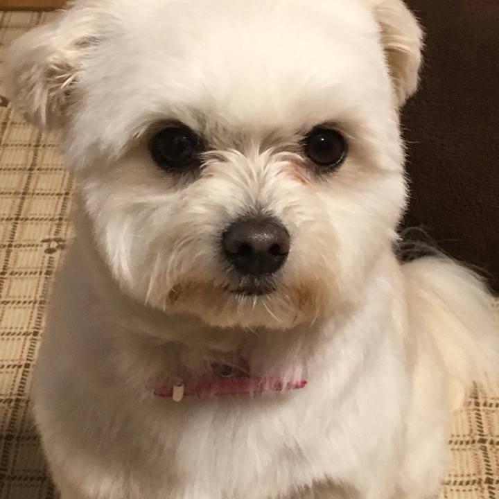 6aa59352 2b48 4f5f ba8f 46208166b7e2