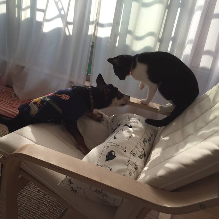 6aa5d0d2 1610 4dec 83d2 9a7fb6f7d89e