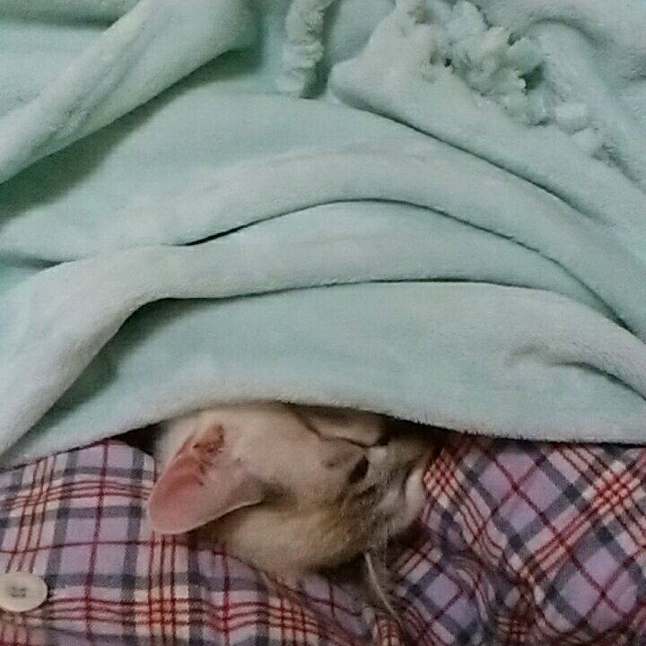 6aa67172 b6fe 4ce3 bc13 b6cf0c28e7db