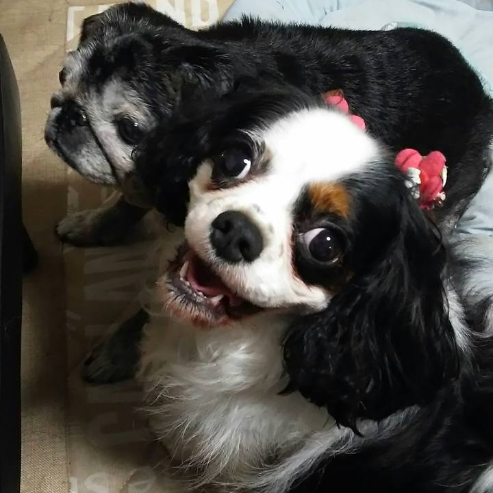 6aa6ddf6 eae5 42b8 a4d1 02a34bb759ea