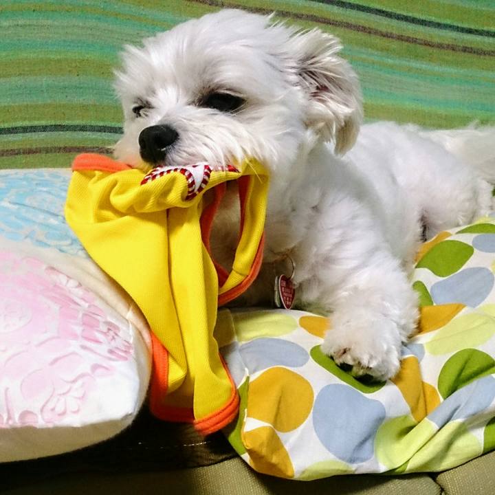 6aa6f28a 1e8f 4ddf be03 228507f46cff