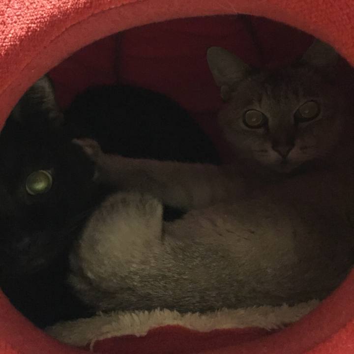 6aa73d39 8a75 47fa a87d b113214c7c35