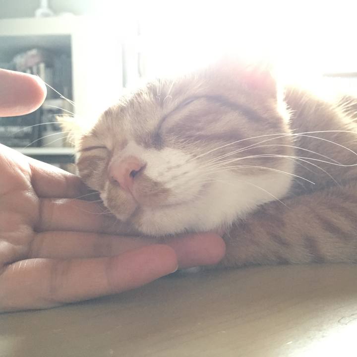 6aa74805 83dc 4d4b aa67 f9a2acd91f4f