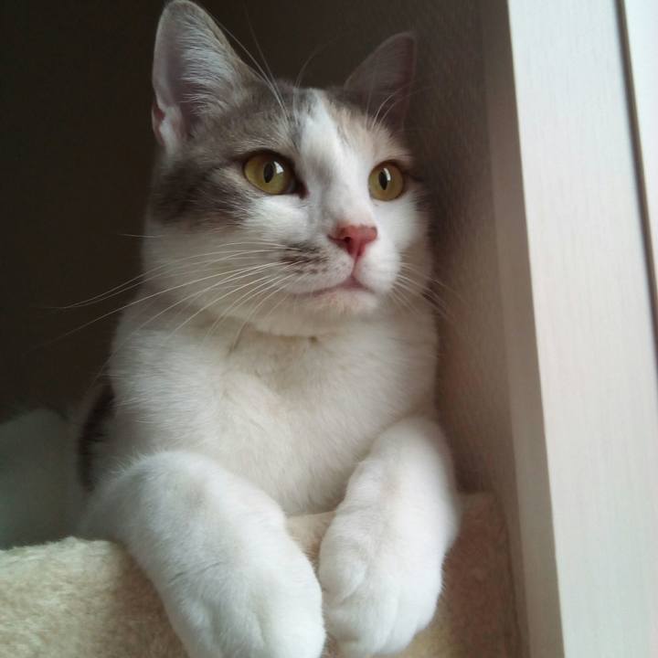 6aa784f3 b725 4d16 85bb 09a26f6048c1