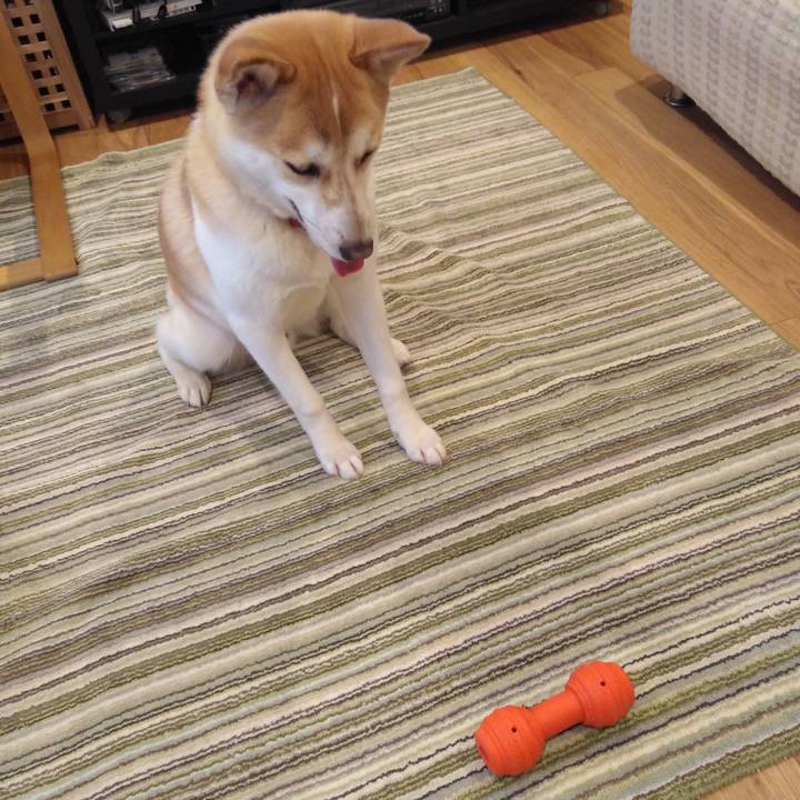 6aa80842 9cee 4622 8ea5 dbe7baf8fc71