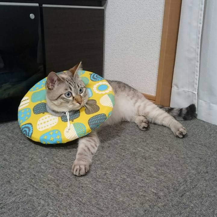 6aaa4bde 84e5 458e 94bb 49a0effdc8cd