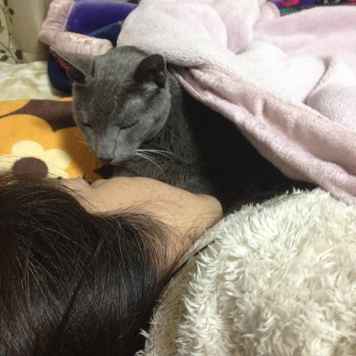 6aaa4f40 0600 45c2 b6e6 8fdadfec94f2