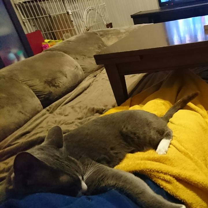 6aaab6b5 6c83 42a8 ac97 c035260875cf