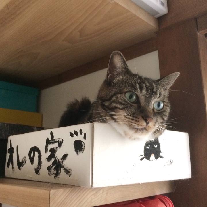 6aaac1f8 eea8 4918 94d8 4bb7402d7dc7