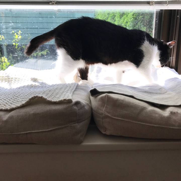 6aab57d6 f4d4 47b8 b1fe e659f303e76a