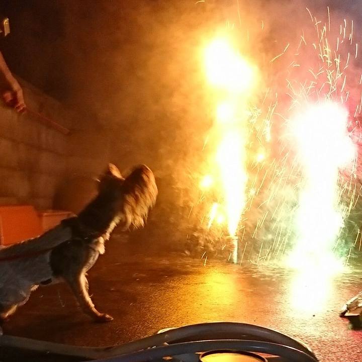 6aab59cb d961 4bce 92bb 902aac955f12