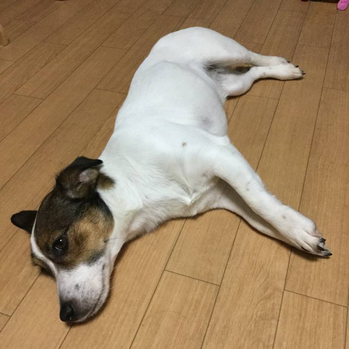 6aababae 69f3 49ee 86b8 9059cf3848c3