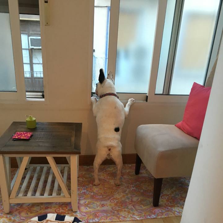 6aabda31 e3f5 4aef 9ac6 45fd2c3f899f