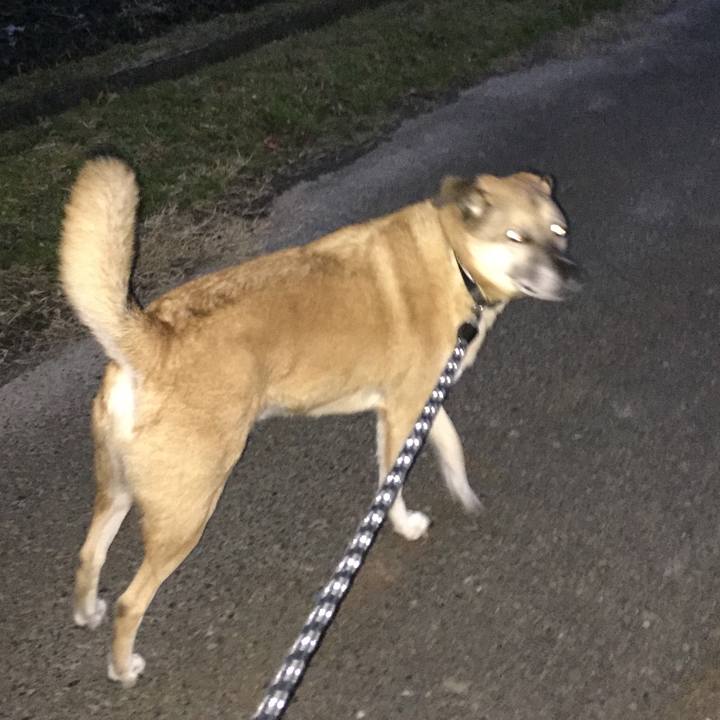 6aabeb0e 4a9e 44de bcf2 dc60b32097c9