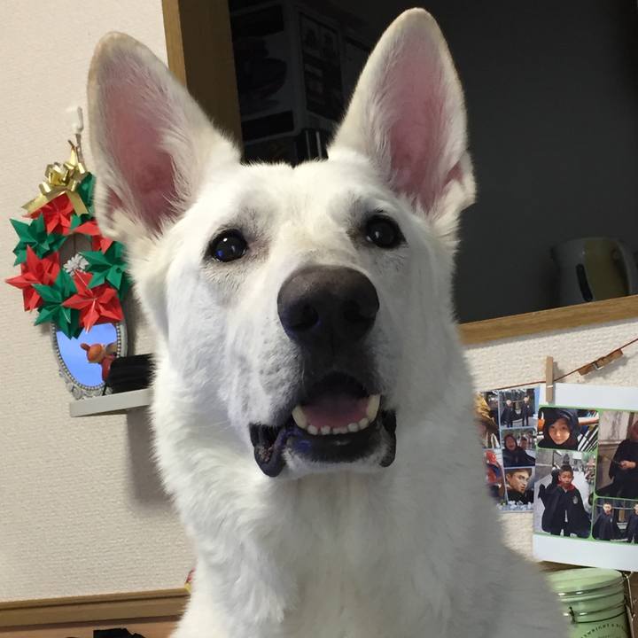 6aac1318 3c66 46b4 b001 df4e90436ada