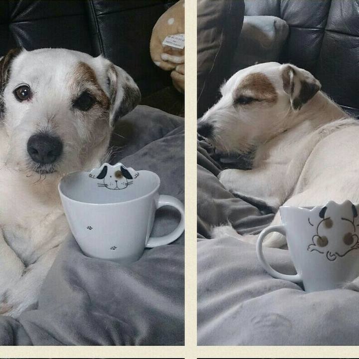 6aac4bff e610 4494 943b 4e8568a91ff5