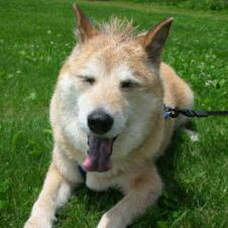 6aad6a46 31d5 41c3 98b9 ed79d7ea5d94