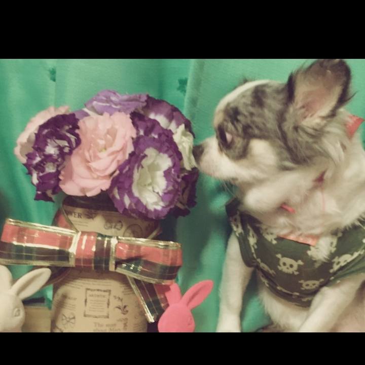 6aad77d9 ac08 4e78 91f4 45ccb8d7cbea