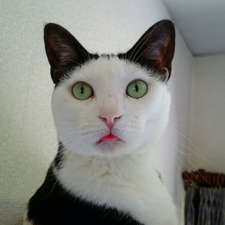 6aad802b 63e7 4c2b 80d6 b019a05ed79e