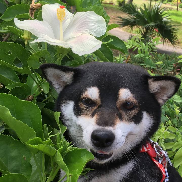 6aadb6e7 e262 4926 afd8 5d6a0498ac49