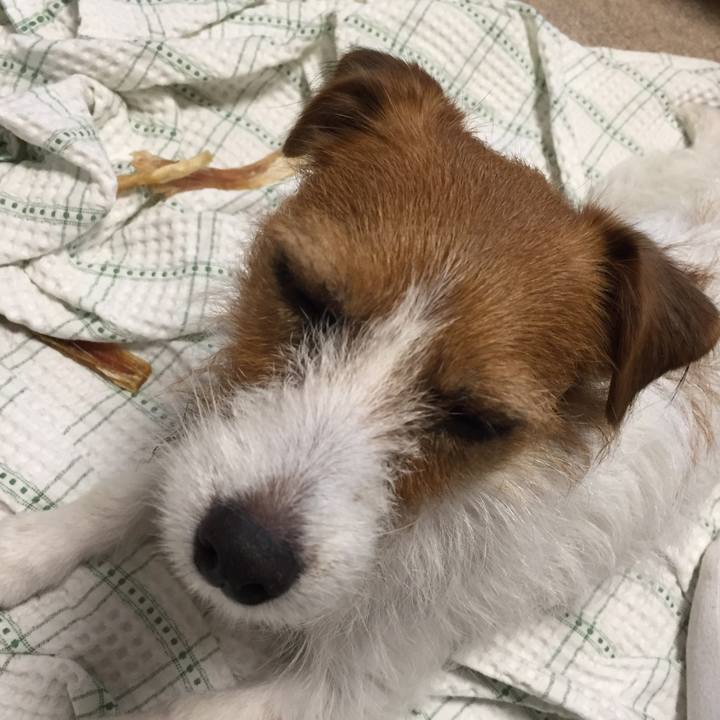 6aade7bf fbc1 4505 becc 6a7604263493