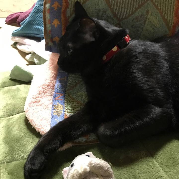 6aae09c8 e1dd 4c25 9377 6c4600aff511