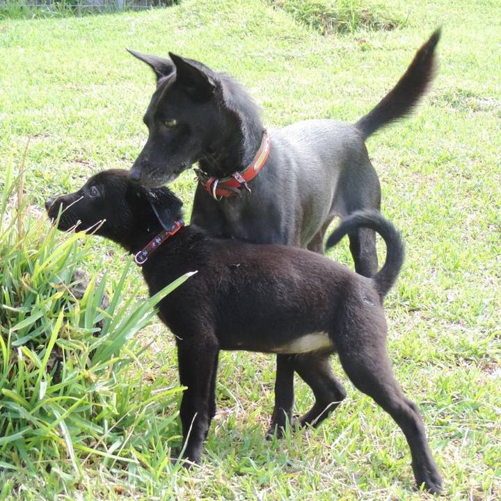 6aae3802 22d7 4e0a 91b9 955315aefc25